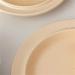 Serving Plates Dessert Plate Simple Round Tableware Beige Breakfast Plate Dinner Salad Plate Kitchen Restaurant Cafe Simple Plain Plate for Appetizer Dinner and Desserts - Buy Online on GoSupps.com