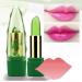 Aloe Vera Lipstick Set - Long Lasting, Moisturizing & Color Changing (3 Pcs) - Buy Online on GoSupps.com