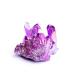 Room Decoration Natural Quartz Crystal Cluster Titanium Bismuth Electroplated Purple Stone Specimen Home Decor Gifts (Color : 40g)