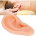Silicone Acupuncture Ear Model - Professional Simulated Teaching Tool (Right Ear) - Buy Online on GoSupps.com