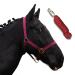 Halter for horses with rope |Leading knitting horse with halter |Haler Shetty pony thoroughbred Full X-Full with rope (Bordeaux cold blood) Bordeaux cold blood