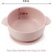 Shop Pandaear Baby Bowl Set - 3 Leak-Proof Silicone Dishes with Suction Cup & Lid for Toddlers | BPA-Free Soft & Safe | Linen Brown Beige Pink - Buy Online on GoSupps.com