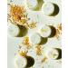 Barre de shampooing - Buy Online on GoSupps.com
