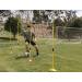Premium Reactive Cones - Enhance Agility and Speed Training - Buy Online on GoSupps.com