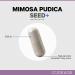 Codeage Organic Mimosa Pudica Seed Capsules - All-in-One Sensitive Plant Supplement (2 Pack) - Buy Online on GoSupps.com