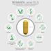 BIOMENTA Liver Plus - 90 High Dose Vegan Capsules with Choline Milk Thistle & Artichokes - Premium Liver Support - Buy Online on GoSupps.com