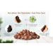 Soapnut - Reetha - Sapindus Mukorossi - Herbal Hair Care for Hair Growth and Scalp Wellness - Pure & Natural (100 Grams) - Buy Online on GoSupps.com