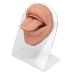 Soft Silicone Tongue Model with Acrylic Stand | Life-like Mouth Model for Jewelry & Piercing Practice | Ideal for Nursing Training - Meat Blonde - Buy Online on GoSupps.com