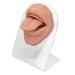 Soft Silicone Tongue & Mouth Model with Acrylic Stand Piercing Practice Body Parts Imitation for Jewelry Display Piercing Practice Teaching Aids (Flesh Blond)