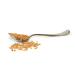 Be Still Farms Organic Spelt Wheat Berries (5lb) - Grind for Spelt Flour, Spelt Tortillas, Crackers & Bread - Ancient Grain, 5 Pound Pack - Buy Online on GoSupps.com
