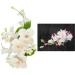 Cake Company confectionery boquet orchid peach 1 Pack (1 x 55 g) & sugar flower boquet rose 1 piece of pink 1 Pack (1 x 74 g) bundle with rose