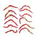 The Fly Fishing Place San Juan Worm Trout Fly Assortment Power Bead Worms 1 Dozen Wet Nymph Fly Fishing Flies - Hook Size 10 - 3 Each of 4 Patterns