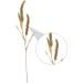 Zerodeko 3pcs Simulated Ears of Corn Plant Decor Dried Wheat Stalks Artificial Wheat Ears Artificial Grasses Bundle Fake Wheat Ears Simulation Wheat Ears Dried Millet Household Iron Straw Greenx3pcs 12X75CMx3pcs - Buy Online on GoSupps.com