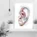 Ear Watercolor Print | Human Ear Art for Living Room Decor | Audiologist Gift | Audiology Poster | Medical Science Art | Ready to Hang 12x16 in - Buy Online on GoSupps.com