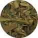  Lerbs & Hagedorn Organic Chinese Lung Ching Tea 1 kg - Buy Online on GoSupps.com