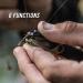GERBER Linedriver Fishing Line Multi-Tool - Essential Tool for Anglers - Buy Online on GoSupps.com