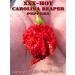 Dried Carolina Reaper Pepper Whole Pods 1/4 oz. - Spicy and Hot! (Basic Pack) - Buy Online on GoSupps.com