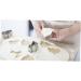 Ciieeo 4pcs Sandwich Cutters Cake Mold Fondant Mousse Rings Sugar Cookie Cutters Shapes Flower Cookie Cutters Non-Stick Biscuit Fruit Cutters Biscuit Lace Biscuit Mold - Buy Online on GoSupps.com