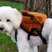 Cute Pet Backpack Dog Harness Adjustable Saddlebags for Small Medium Large Dogs Travel Outdoor Hiking Daily Walking dog backpack for large dogs to wear - Buy Online on GoSupps.com