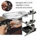 Magnifier with Led Light Alligator Clamp Auxiliary Clip Sturdy Base Dimmable High Clearility for Close Work Reading - Buy Online on GoSupps.com
