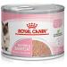 Royal Canin Mother & Babycat Mousse | 12 x 195 g | Complete Food for Cats | Especially for the Mother Cat and Her Puppies | To Support the Body's Defense - Buy Online on GoSupps.com