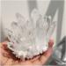 for 800g Quartz Crystal Clear Quartz Cluster Brazil Natural Quartz ERTEYIN - Buy Online on GoSupps.com