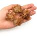 Beautiful Natural Orange Aragonite Quartz Crystal Cluster Rough Stone Crystal Stone Mineral Specimen - Buy Online on GoSupps.com