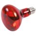 Trixie 76097 Infrared heat spot lamp 80 108 mm 100 W 100 Watt