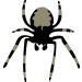 Urinal Fly Toilet Stickers 12 Pack - Grasshopper, Hornet, Beetle, Spider - 80% Cleaner Bathrooms in Minutes - Buy Online on GoSupps.com