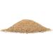 Reavet Darm Prebiotic for Horses 1kg - Natural Grain-Free Solution for Intestinal & Stomach Health | No Additives - Buy Online on GoSupps.com
