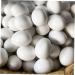 BESPORTBLE 12pcs Portable Fake Eggs Multi-Function Fake Eggs Delicate Simulated Eggs Solid Egg Multifunction 1.6x1.2cm White - Buy Online on GoSupps.com