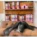Petuxe Masque Chien V g talien Tout Type de Cheveux 300 ML 1000 ml - Buy Online on GoSupps.com