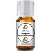 10ml - Camphor Essential Oil - 0.33 Fluid Ounces Camphor 0.33 Fl Oz (Pack of 1)