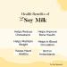 HYE FOODS Vegan Soy Milk Powder - 49% Protein - Unsweetened - 17.6 Oz (500g) - Buy Online on GoSupps.com