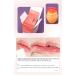 Natural Lip Plumper Enhancer & Care Serum | Transparent Gloss for Soft Hydrated Lips - Rosa+Type1 - Buy Online on GoSupps.com