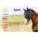 Horse Fly Mask Standard with Ears with Comfort Fleece padding UV Protection for horse Breathable(Cob Pony Full) Mesh Cob (M) Black - Buy Online on GoSupps.com