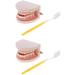2 sets 1: 1 human teeth model with toothbrush dental care model for mouth lesson study teeth teach dental prosthesis model for students