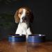 Scruffs Ceramic Heavy Duty Reactive Glaze Pet Bowls - 2pc Set - 15cm Midnight Blue 15cm