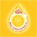 Buy Cpc 44673 28 oz. Lemon Scent Dish Detergent - International Shipping Available - Buy Online on GoSupps.com