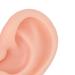 Soft Silicone Ear Model for Beginners - Realistic Ear Piercing Practice & Earring Display Prop (Light Skin) - International Shipping Available - Buy Online on GoSupps.com