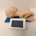 Buy Human Body Airway Management Trainer - PVC Intubation Teaching Model for Oral-Nasal-Tracheal Training | International Shipping Available - Buy Online on GoSupps.com