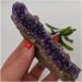for Natural Dream Amethyst Quartz Crystal Cluster Specimen Full of Texture - Buy Online on GoSupps.com