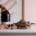 Buy doTERRA Copaiba Essential Oil - Best Quality & Fast International Shipping - Buy Online on GoSupps.com