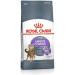 ROYAL CANIN RC2563001 Cat Feed Plastic - Buy Online on GoSupps.com
