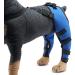 Pet Dog Knee Brace ACL Brace for Dogs Rear Leg Dog Braces for Back Leg for Support for Heals Prevents Injuries Sprains Blue Medium Medium Blue - Buy Online on GoSupps.com