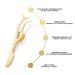 Professional Magnetic False Eyelash Extension Applicator | Golden Stainless Steel Tweezer for Easy Lash Application & Removal | Multifunctional Beauty Tool - Buy Online on GoSupps.com