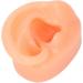 Silicone Ear Model - Soft Simulation Hearing Tool for Sound Aid Display (Left Ear) - Fleshcolor with Black Stand - 1 Count - Buy Online on GoSupps.com