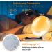 Buy Sunrise Alarm Clock | Light Alarm Clock with Snooze & Dual Alarms | 10 Natural Sounds & 7-Color Atmosphere Lamp - International Shipping - Buy Online on GoSupps.com