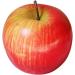 HOMSFOU 12 Pcs Reusable Fake Apple Fake Apple Model Simulation Apple Watermelon - Buy Online on GoSupps.com