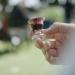 TrueVine Chalice Prefilled Communion Cups and Wafer Set - 1000 Count Pack - Easy-Open Communion with Bread & Juice - Fresh and Convenient for Your Service - Buy Online on GoSupps.com